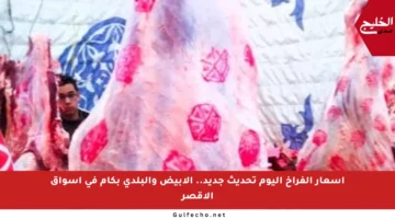 أسعار الفراخ اليوم تحديث جديد.. الأبيض والبلدي بكام في أسواق الأقصر